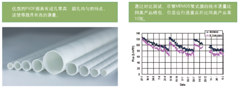 1608188256137893.jpg 11.jpg