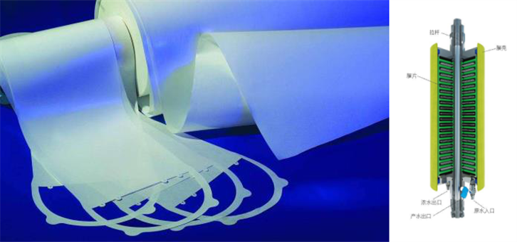 1649294770925497.png 10.png